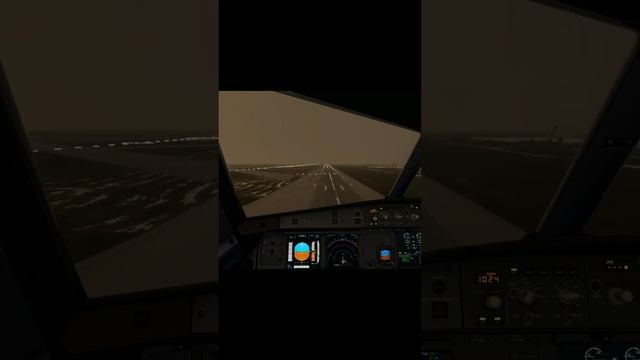 Посадка А320 в Алма - Ате /навстречу  самолет на полосе  #airplane #plane #aviation #pilot #crash
