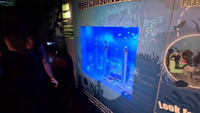 Aquaria океанариум в Куала Лумпуре смотреть онлайн