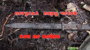 коп по войне --- погулял пару часиков после обеда.