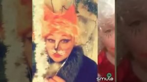 Куда уехал цирк