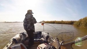 Сазан Олег На колхозницу