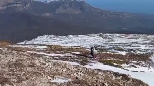 Гора Ангар - бурун, верхнее плато Чатыр - дага, Крым