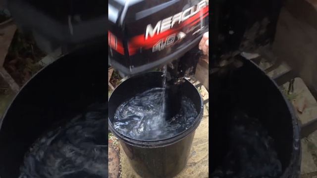 Mercury engine. 4hp смотреть онлайн