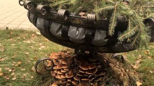 Экскурсия на мусороперерабатывающий завод