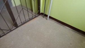 Лифт в моём подъезде! Лифт (МЛЗ - 1995 г.в.)