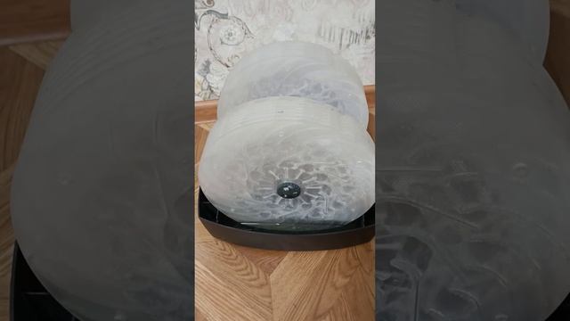 Мойка Boneco 2055d