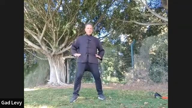 Dantien as spinning energy  Masterclass by Gad Levy Golan смотреть онлайн