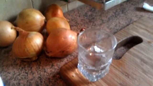 Дрессированная божья коровка смотреть онлайн