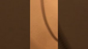 ВнутриБомбочки для ванны утёнок резиновый маленький💧￼