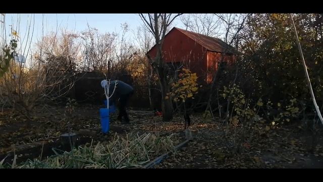 Спиливаем старое дерево. смотреть онлайн