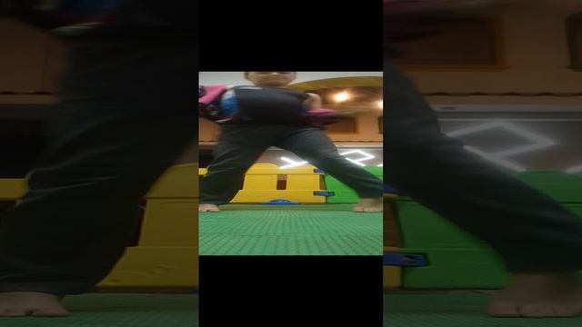 VID_20241025_201117.mp4
