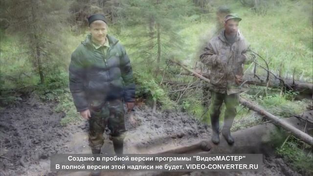 Охота Август Октябрь 2013