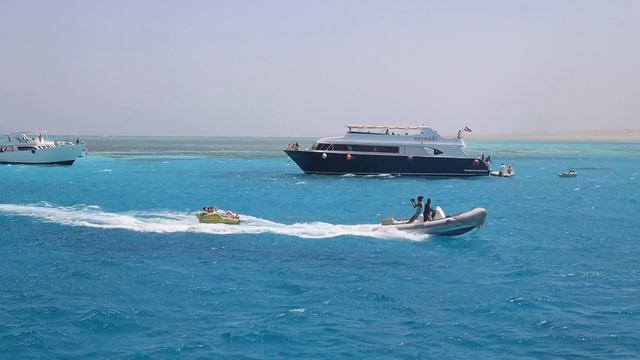 Морская прогулка Dolphin House Hurghada. Egypt. Red sea смотреть онлайн