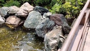 Чудо Краснодара - Японский сад в парке Галицкого. 2