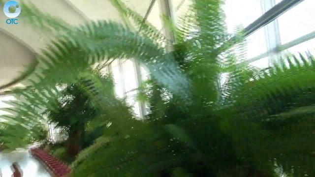 Интервью с Денисом Малютиным смотреть онлайн