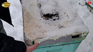 зимовка пчел, декабрь, корректируем вентиляцию, пустой корпус сверху