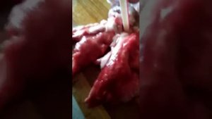 Новое  открытие как  дышит 🐰 кролик