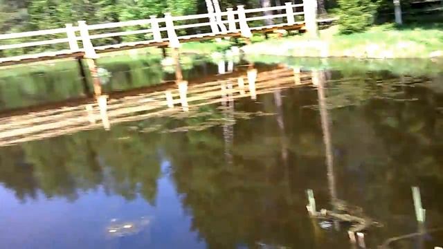 Малые Карелы с классом смотреть онлайн