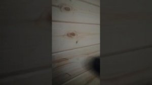 монтаж вагонки