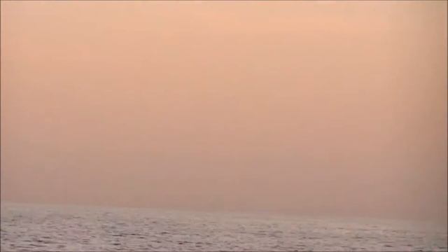 Дельфины в море Бали (Индонезия)