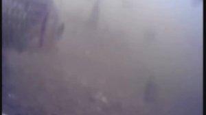 Подводная съемка, карась, нерест, боковой кивок, мормышка