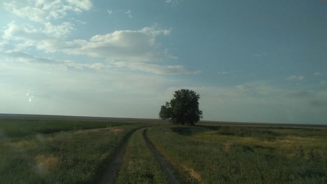 Опустевший посёлок Новозизевка, Дергачевский район.