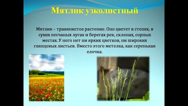 Краеведческий калейдоскоп «Родного края разноцветье»