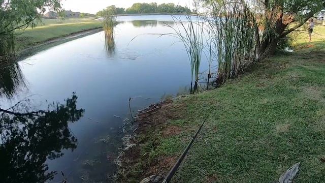 The First Drive - смотреть онлайн