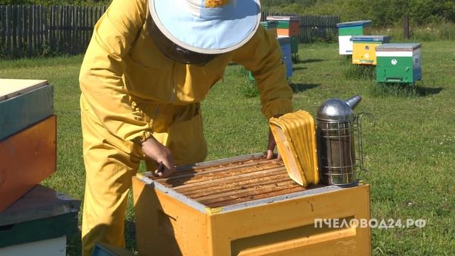 Продажа, производство меда и продуктов пчеловодства смотреть онлайн