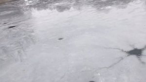 Дырявый лёд на пруду.