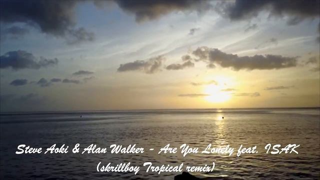 Steve Aoki & Alan Walker - Are You Lonely feat. ISÁK -(Skrillboy Tropical Remix)(UnOfficial Video) смотреть онлайн