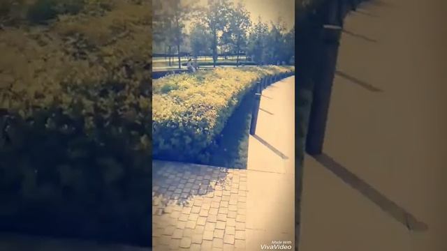 Краснодар стадион Галицкий парк смотреть онлайн