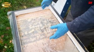 пчеловодство, как помочь Владимиру Жукову, кто прав кто виноват