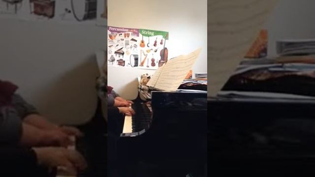 Duet-Phantom of the Opera-Elizabeth & Pam from Park Street Piano. смотреть онлайн