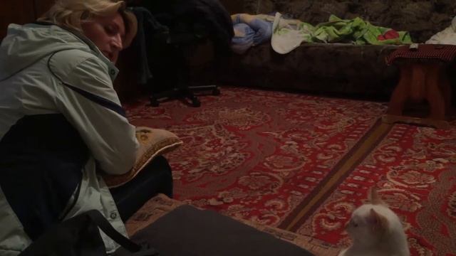 Тополь М, сентябрь 2017 г.