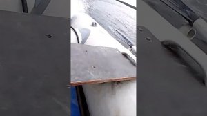 Покатался на резиновой лодке