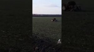 Охотник поймал зайца голыми руками