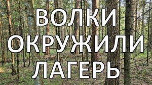 Заброшенная ЖД | секретная база | хребет Нары | Южный Урал