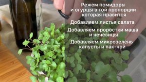 Салат с проростками и Микрозеленью