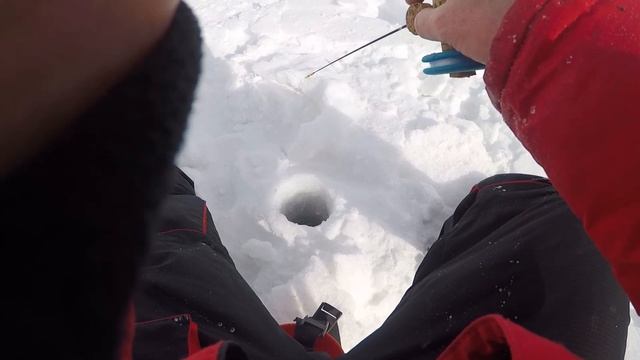 Как правильно ловить форель смотреть онлайн