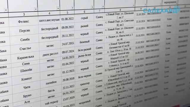 Зарегистрируй питомца