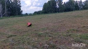 лето 09.07.23 сунгай