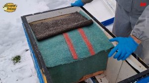 пчеловодство, честное частное мнение о Володе Жукове, пчеловоды объединимся!