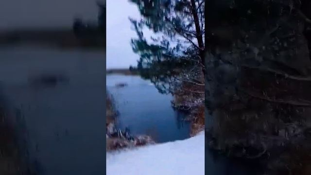 зима пришла дикие утки улетели смотреть онлайн