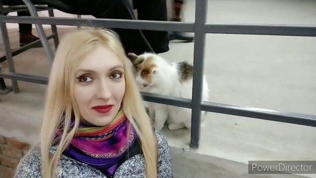 Харьков, современное искусство смотреть онлайн