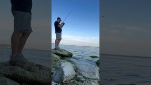 Морская любительская рыбалка в Новороссийске