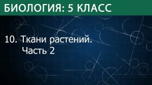 Биология 5 класс: Ткани растений. Часть 2