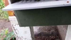 пчеловодство. как установить пыльцесборник на ульи из ППУ и ППС