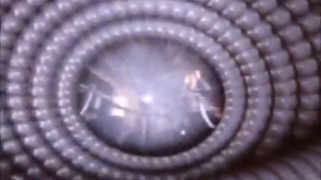 «Magic of Light» смотреть онлайн