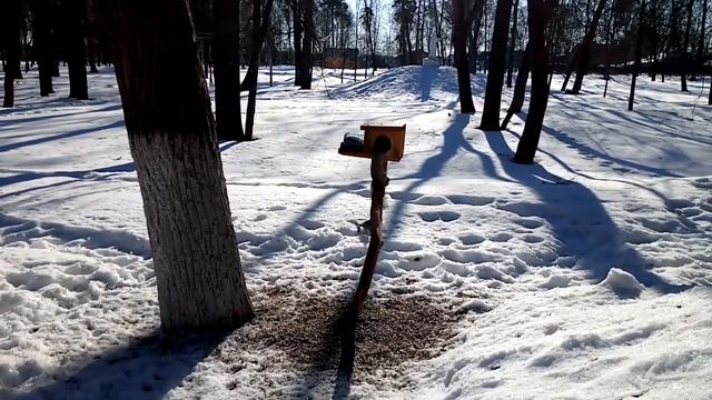 "Виртуальная экскурсия в городе В" смотреть онлайн